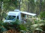 Huon Valley campsite in Tasmania 