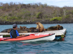 Galapagos activity & wildlife holiday, land based