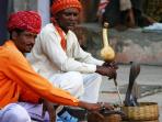 India small group tour