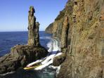 Bruny Island cruise, Tasmania, Australia