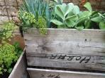 Hobart food and wine tour in Tasmania