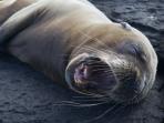 Peru and Galapagos adventure holiday
