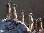 Cape Town to Victoria Falls holiday in South Africa
