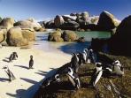 Discover the Cape holiday in South Africa