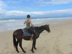 Horse rehabilitation project in South Africa