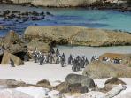 Johannesburg to Cape Town tour in South Africa
