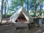 High Weald eco forest camping, England