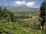 Kerala budget holiday, tailor made