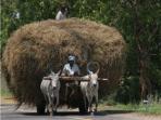 Tamil Nadu holidays, tailor made