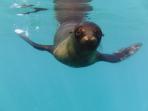 Galapagos family adventure holiday