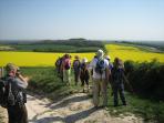 West Sussex walking break, England