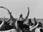 Cameroon holidays, wildlife and culture