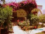 Cirali accommodation, Turkey