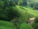 Bergamo circular walking tour in Italy