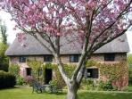 South Downs holiday thatched cottage, England