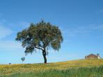 Alentejo rural accommodation, Portugal