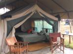 Tanzania wildlife safari, eyes on the Serengeti