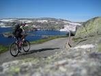 Norway self guided cycling holiday, Rallarvegen route