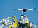 Sea of Okhotsk wildlife cruise, Russia