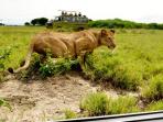 Uganda wildlife and activity holiday 