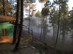 Indian Himalayas holiday, Kumaon area