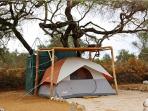 Budget camping safari in Kenya