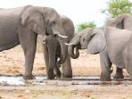 Namibia small group guided holiday and safari