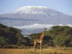 Climb Mount Kilimanjaro in Tanzania