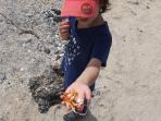 Galapagos family holiday, hotel based