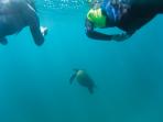 Peru, Ecuador & Galapagos vacation