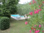 Tuscany self catering villa in the Val di Chio, Italy