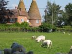 High Weald cottage accommodation, England 