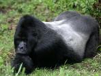 Small group adventure holiday in Uganda