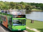 New Forest National Park bus tour, England
