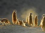 South Africa tailor made holiday