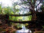 Cycling and homestay holiday in Northern India