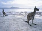 Adelaide to Perth tour, Australia