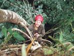 Amazon Rainforest Internship