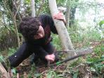Cotswolds tree filling and coppicing course, England