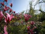 Northern Italy eco village bed & breakfast