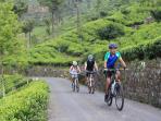 Sri Lanka cycling holiday
