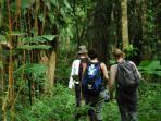 Rainforest expedition in Costa Rica