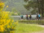 Cairngorms adventure tour, Scotland