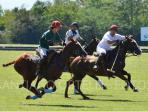 Learn Polo in Argentina