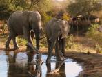 South Africa family safari & cultural holiday