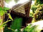 Yap Micronesia's little eco hotel