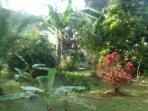 Guyana jungle accommodation