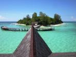 Borneo tailor made holiday, wildlife & beaches