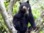 Ecuador wildlife tours