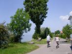 Austria cycling holiday, Lake Constance